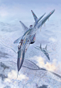 MiG-29 SMT