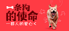 LVROGNE采集到宠物