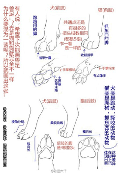 玩火尿炕采集到§W教学 —— 动物