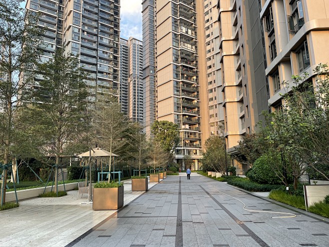 登高面 花箱种锦叶榄仁