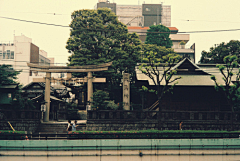 洛羽薇采集到风景