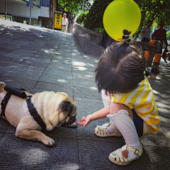 Gwen雯子采集到仔仔的日常