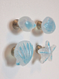 This may contain: three glass knobs with sea shells and starfish on them, one is blue