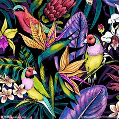 热带花鸟印花 热带花卉印花 热带风情植物 欧美花卉图案 大牌植物印花 时装花卉图案 春夏植物印花 无缝花卉图案 热带植物图案 清新花朵图案 水彩花卉图案 时尚女装印花 数码印花 韩系女装印花 方巾花卉图案 时尚方巾图案 花鸟植物印花 女装数码印花 热带花鸟图案 热带鹦鹉印花 女装裙子印花 #欧美# #优雅#