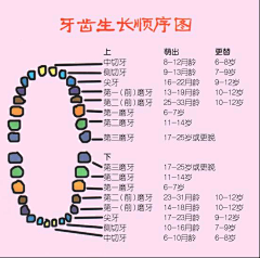 *淏妈咪*采集到数据图