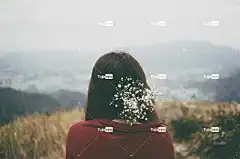 模糊 户外的 绿色 自然 花壁纸 美丽的花朵 草 背部 花