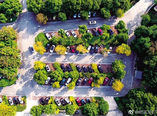 “生态停车场”的图片搜索结果
