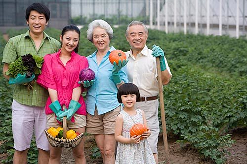 园艺,种植,蔬菜,健康生活方式,休闲活动...