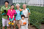 园艺,种植,蔬菜,健康生活方式,休闲活动_gic3779597_全家人在现代农庄采摘_创意图片_Getty Images China