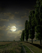 PHOTO: MOON NIGHT | PHOTOGRAPHER: GENNADIY DNEPROV