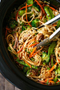 Slow Cooker Lo Mein - Skip delivery and try this veggie-packed takeout favorite for a healthy dinnertime meal that is easy to make right in your crockpot! == DAMN DELICIOUS RECIPE AND IT IS VERY VERY GOOD. I USED CHICKEN BREASTS-2 LARGE, AND USED DRIED UD