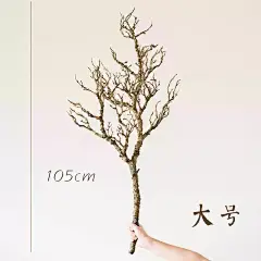 掬涵仿真枯树枝枯山水艺术装饰日式树干橱窗侘寂造景摆件花艺树皮-tmall.com天猫