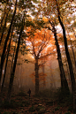 Autumn Fairytale by Denis Vokidar on 500px