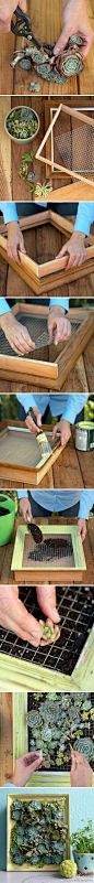 For My Home / How to construct your own succulent frame. Such a great idea! #succulents