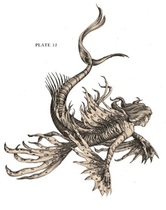 叼着狗的大骨头采集到幻想生物解剖结构