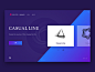 Web Interaction Design