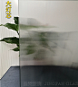 大灯芯