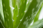 stock-photo-120494565