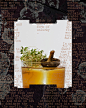 The Old Man identity on Behance