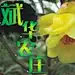 斌华农庄