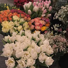 朋友圈背景图 - 堆糖，美图壁纸兴趣社区