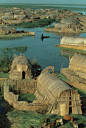 Iraqi reed house neighborhood, built on a marsh."They made columns from the thick, giant rushes and gather 30-40 of them together to make pillars, and interweave them for a skeleton frame. They added reed mats, and even the decoration on the front of