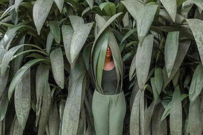 Brooke DiDonato Phot...