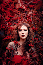 【美图分享】Serg  Piltnik (Пилтник)的作品《Red autumn》 #500px#