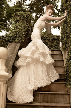 霄燕采集到The wedding dress