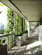 新加坡艺术高中 垂直绿化