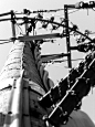 Telegraph Pole by EvieOstapjuk