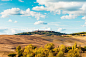 Download Beautiful Tuscan Landscape Around Pienza Town, Italy Free Stock Photo