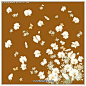 深黄色背景下的白色小花朵花瓣插画素材PSD分层素材|PSD素材|白色花瓣|分层文件|花边|花边素材|花卉|花纹|花纹素材|深黄色背景|手绘插画|植物素材