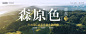 厦门【大城小爱】旅拍婚纱照高端定制品牌——婚纱摄影价格_鼓浪屿婚纱照拍摄