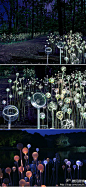 Bruce Munro 设计的光之林，将在2012年夏季进行展示。这些发光体由上万个丙烯酸管子上覆盖玻璃球体构成，像是夜里怒.