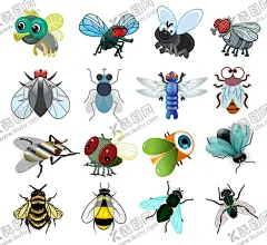 卡通苍蝇蜜蜂图案合集 【酷图网】卡通,苍蝇,蜜蜂,图案,合集,昆虫,害虫,有害,生物,动物,插画,贴图,幼儿,绘本,手绘,可爱,搞怪,大自然,抽象,图标,虫