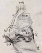 素描五官结构表现注意事项：

1.了解眼睛结构，准确把握眼睛及眼轮匝肌特征。

2.了解鼻子结构，包括鼻根、鼻梁、鼻背、鼻翼、鼻尖和鼻孔的结构关系。

3.把握上下嘴唇结构和口轮匝肌特征，并注重嘴角表情。...展开全文c