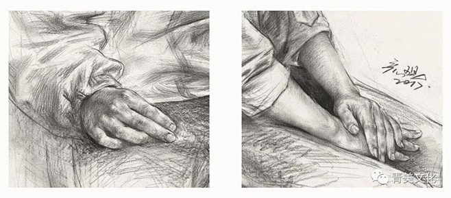 手的绘画2019青美文化张彦琨画手部解剖...