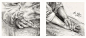 手的绘画2019青美文化张彦琨画手部解剖从基础教学到大师手稿作品临摹范本对临高校联考国美院手绘画册教材程书籍-tmall.com天猫