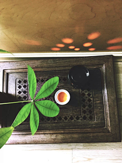 亭亭净植1采集到绿茶素材