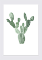 MINI CACTUS No 2