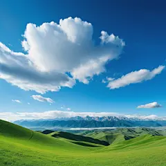 草地蓝天 (270)
