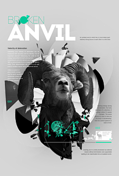 黑先森设计采集到动物海报
