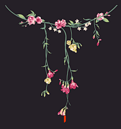ART丶MingStar采集到花卉