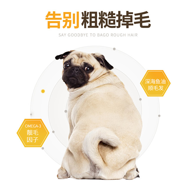 狗粮主图