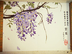 茂生采集到盛续春光识紫藤