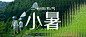 小暑旅游节气祝福清透长虹玻璃公众号首图