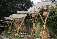 华冶采集到x——小品