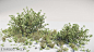 Star Citizen - Vegetation - Planet Hurston, Özlem Sagbili : I was mainly responsible for creating vegetation and procedural object distribution for Star Citizen over the last 2 years. 
The assets can be found on one of our planets called "Hurston&