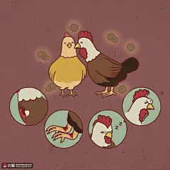 禽类禽流感防护病毒病菌健康防御插画 医疗保健 养生食疗